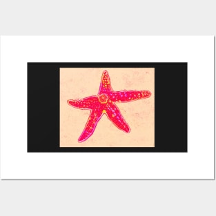 Starfish in Pink Posters and Art